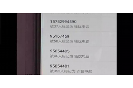 大洼融资清欠服务